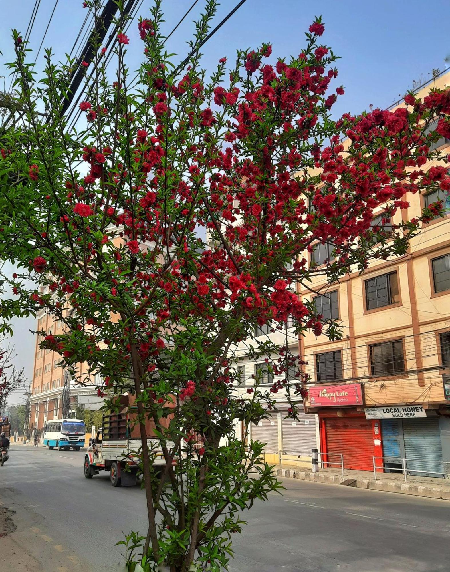 Best Hostel Kathmandu Exterior foto